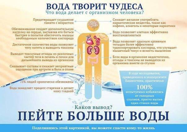 Как сделать организм лучше Как сделать организм лучше